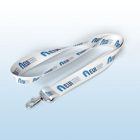 Lanyard